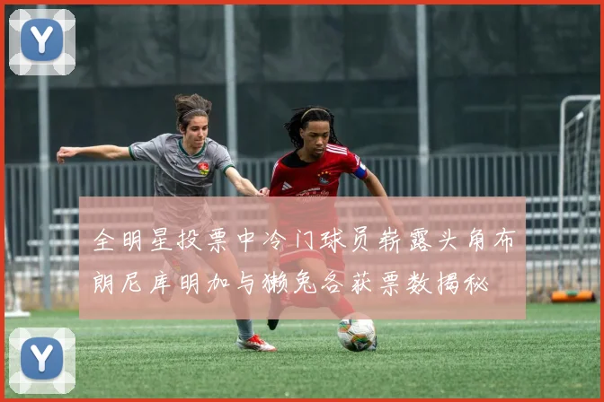 全明星投票中冷门球员崭露头角布朗尼库明加与獭兔各获票数揭秘