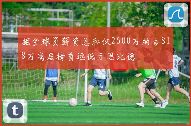 掘金球员薪资总和仅2600万纳吉818万高居榜首远低于恩比德