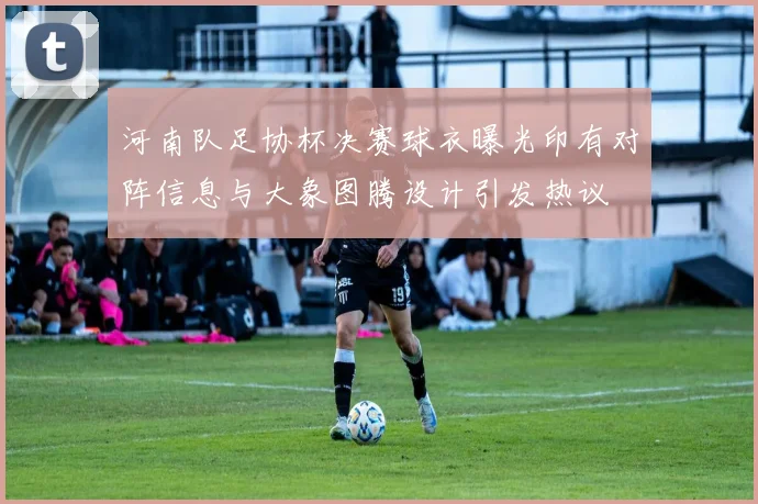 河南队足协杯决赛球衣曝光印有对阵信息与大象图腾设计引发热议