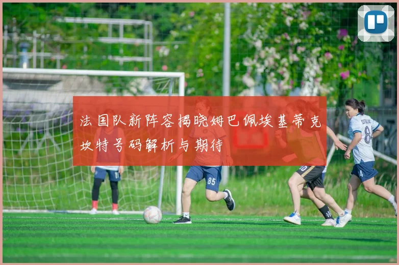 法国队新阵容揭晓姆巴佩埃基蒂克坎特号码解析与期待