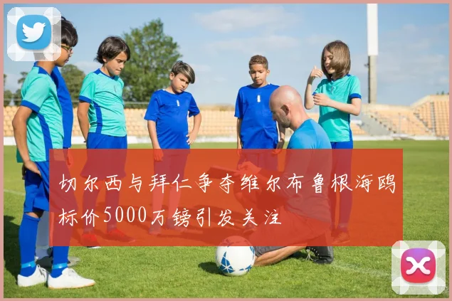 切尔西与拜仁争夺维尔布鲁根海鸥标价5000万镑引发关注