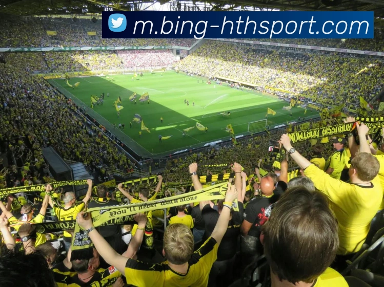 华体会体育APP 高清赛事图