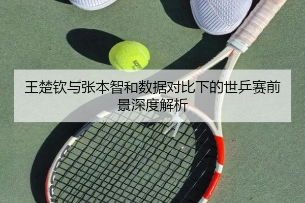 王楚钦与张本智和数据对比下的世乒赛前景深度解析（hth）